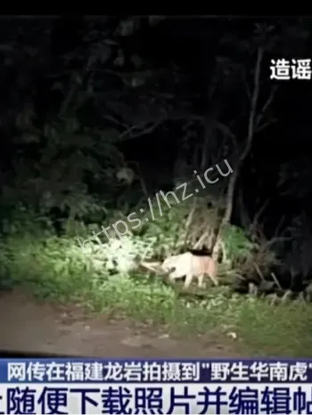 野生华南虎谣言