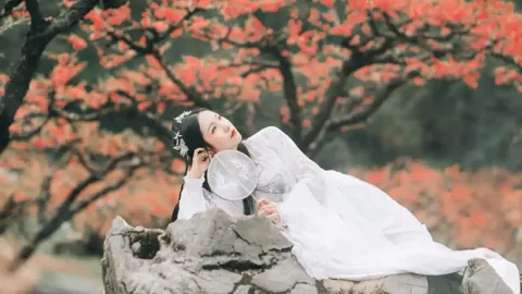 辽宁抚顺汽车4S店收养流浪猫狗